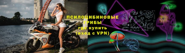 стафф Алзамай