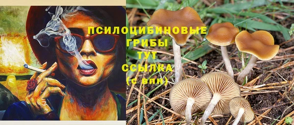 мяу мяу мука Абинск