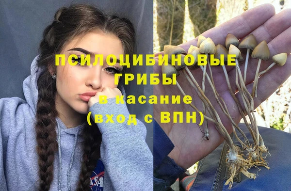 стафф Алзамай